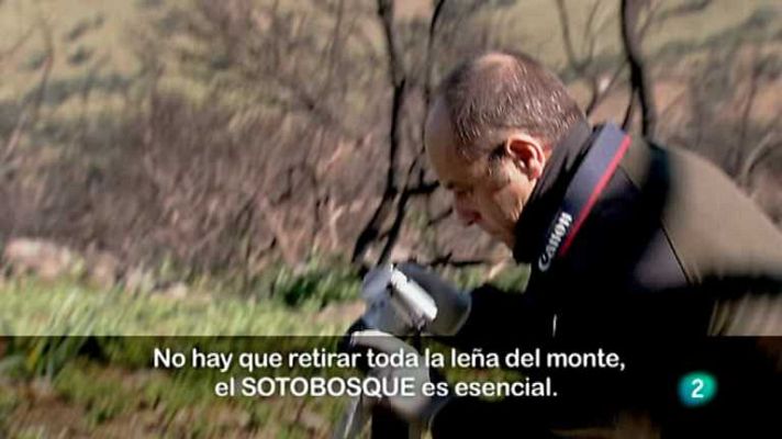 Biodiario - Biodiario - 28/08/12