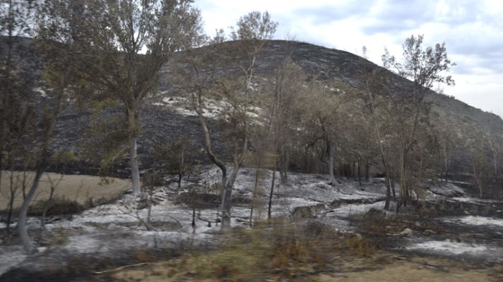 Informativo 24h - Incendio en la zona del Moncayo