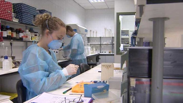 Telediario 1 - Se revisarán otros casos