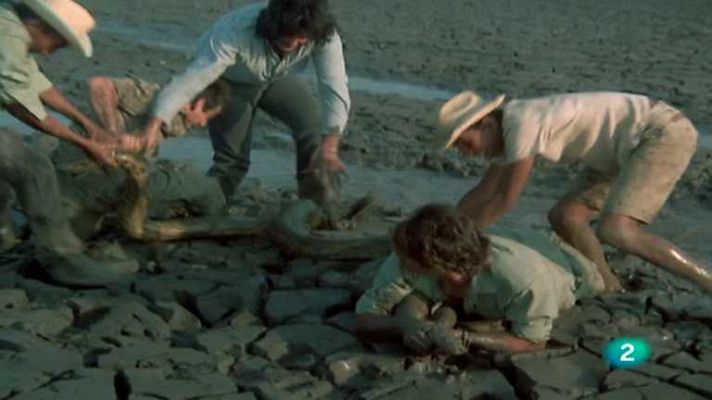 El hombre y la Tierra - Operación Anaconda