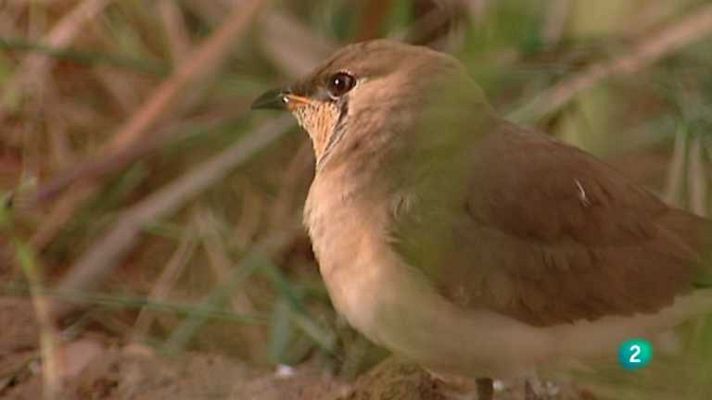 Biodiario - Biodiario - 30/08/12