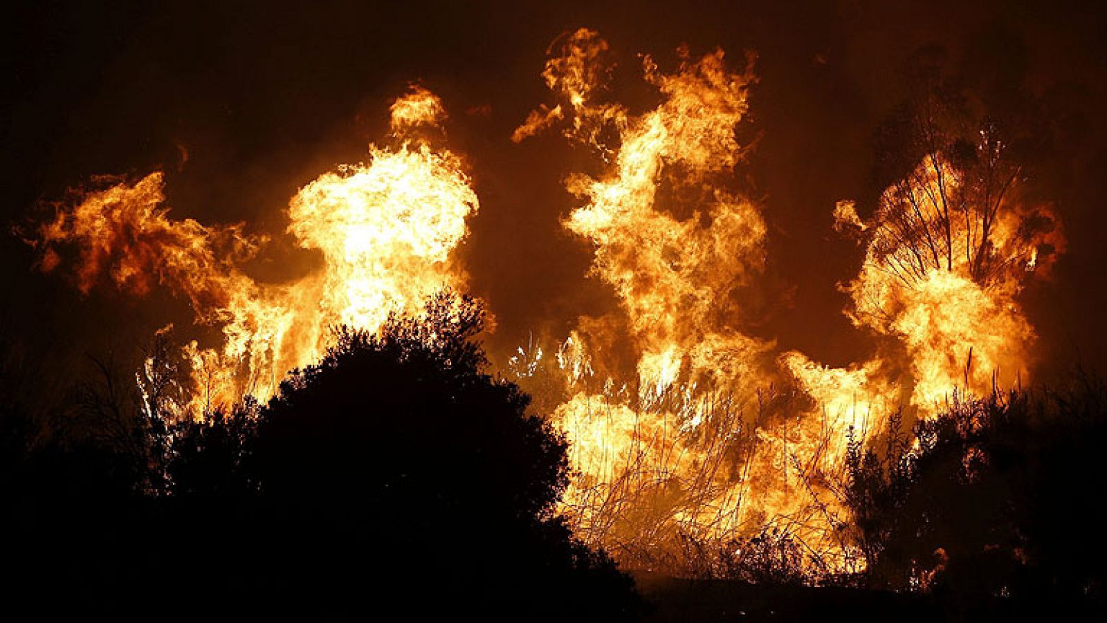 Declarado un incendio en Coín (Málaga), que avanza sin control