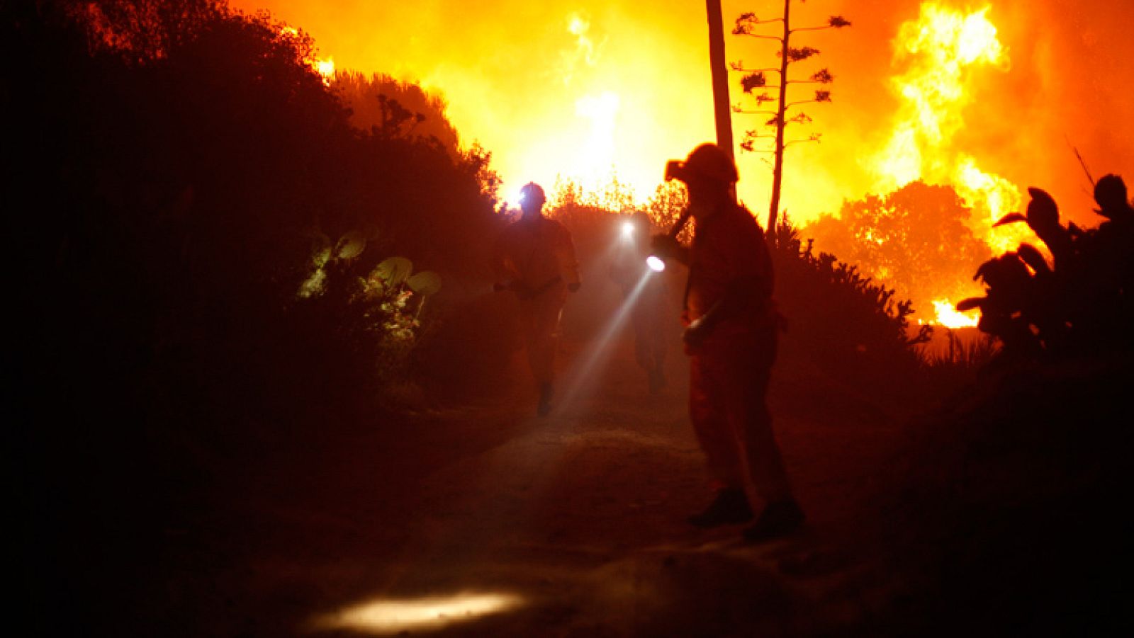 Un incendio se propaga en Málaga y obliga a desalojar varias poblaciones