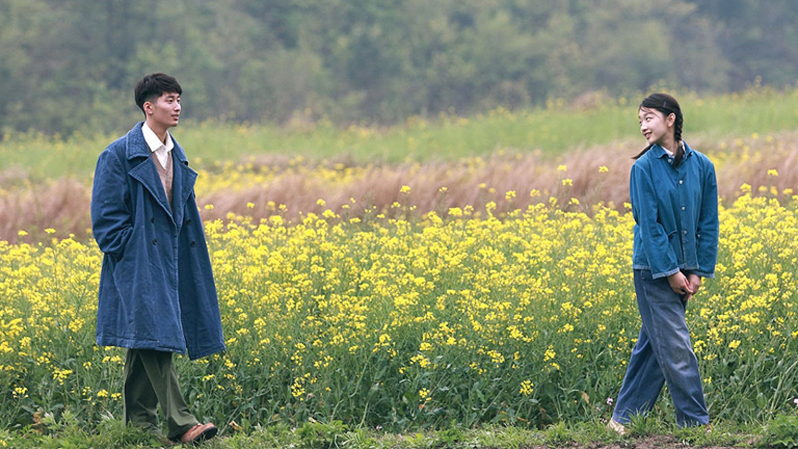 Días de cine: 'Amor bajo el espino blanco'