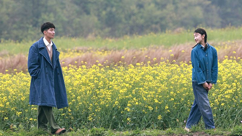 Días de cine: 'Amor bajo el espino blanco'