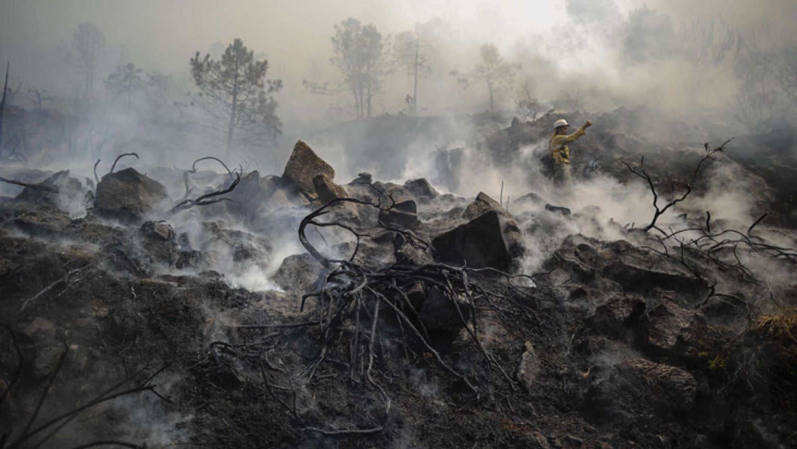 Más de mil personas y 31 medios aéreos trabajan en la extinción del incendio de Málaga