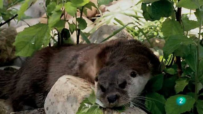 Biodiario - Biodiario - 02/09/12