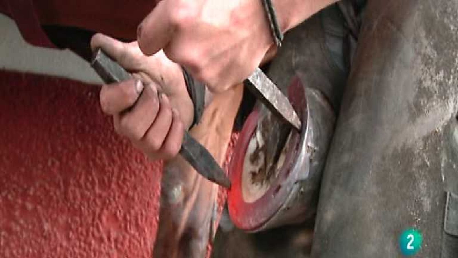 Descubriendo el comportamiento animal - Dieta antiestres - Ver ahora