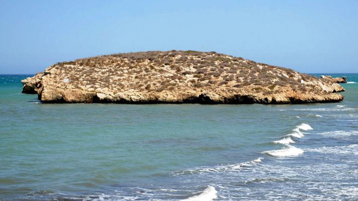 Telediario 1 - Nueva intento de saltar la valla en Melilla mientras Bruselas investiga lo sucedido en Isla de Tierra