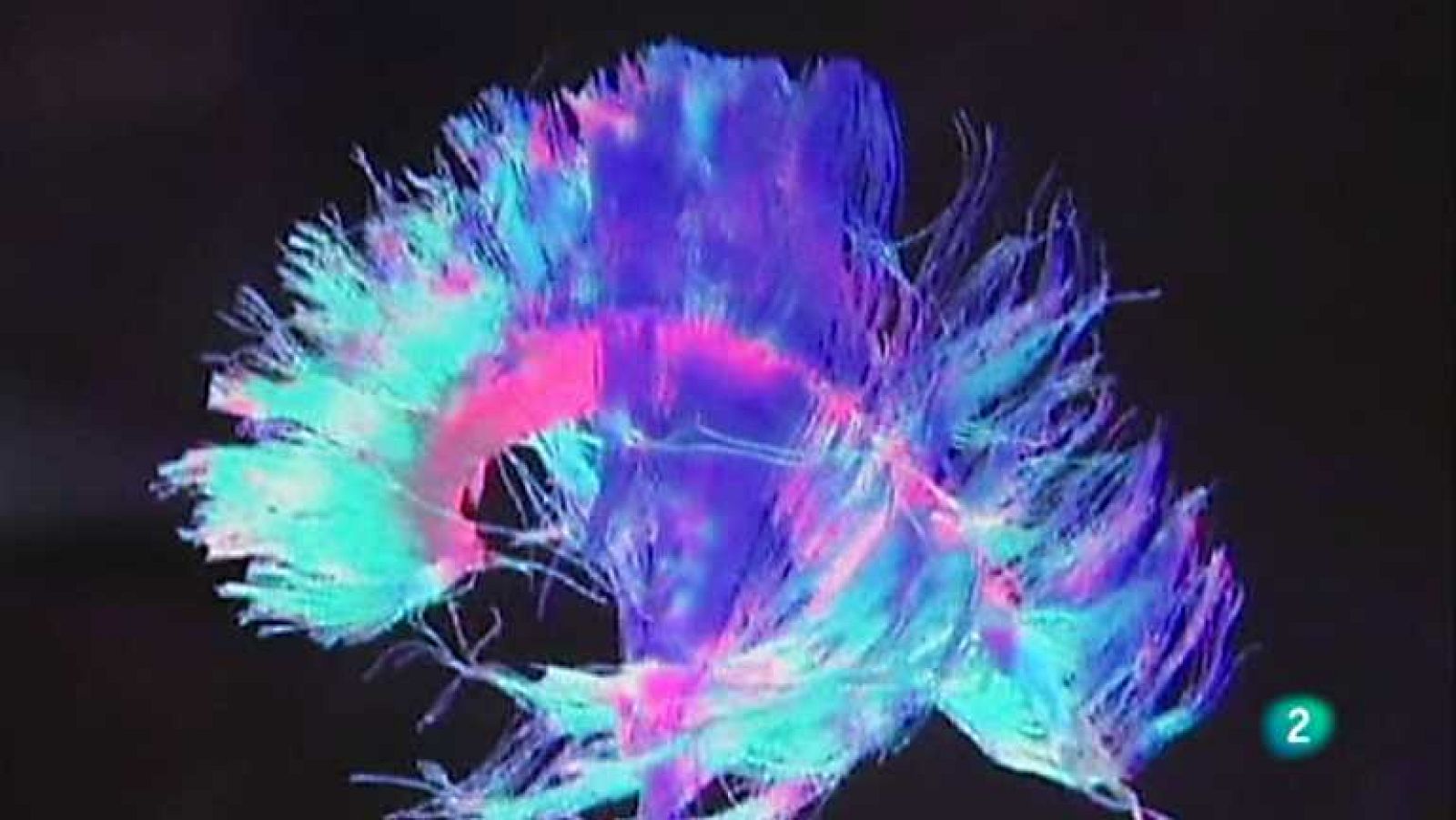 La 2 Noticias - 05/09/12 - Ver ahora