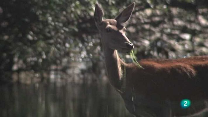 Biodiario - Biodiario - 06/09/12