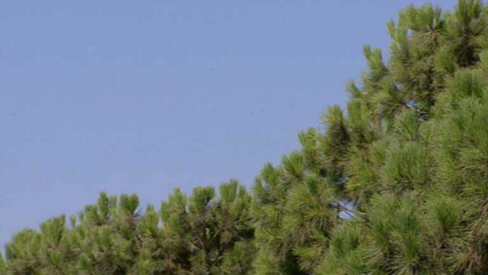 Cielos poco nubosos en la mayor parte del país