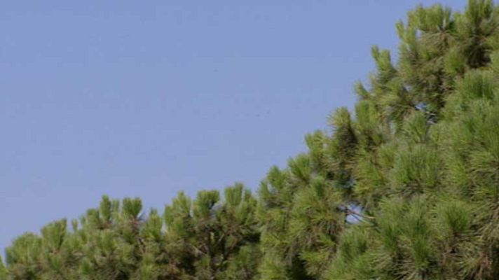 El tiempo - Cielos poco nubosos