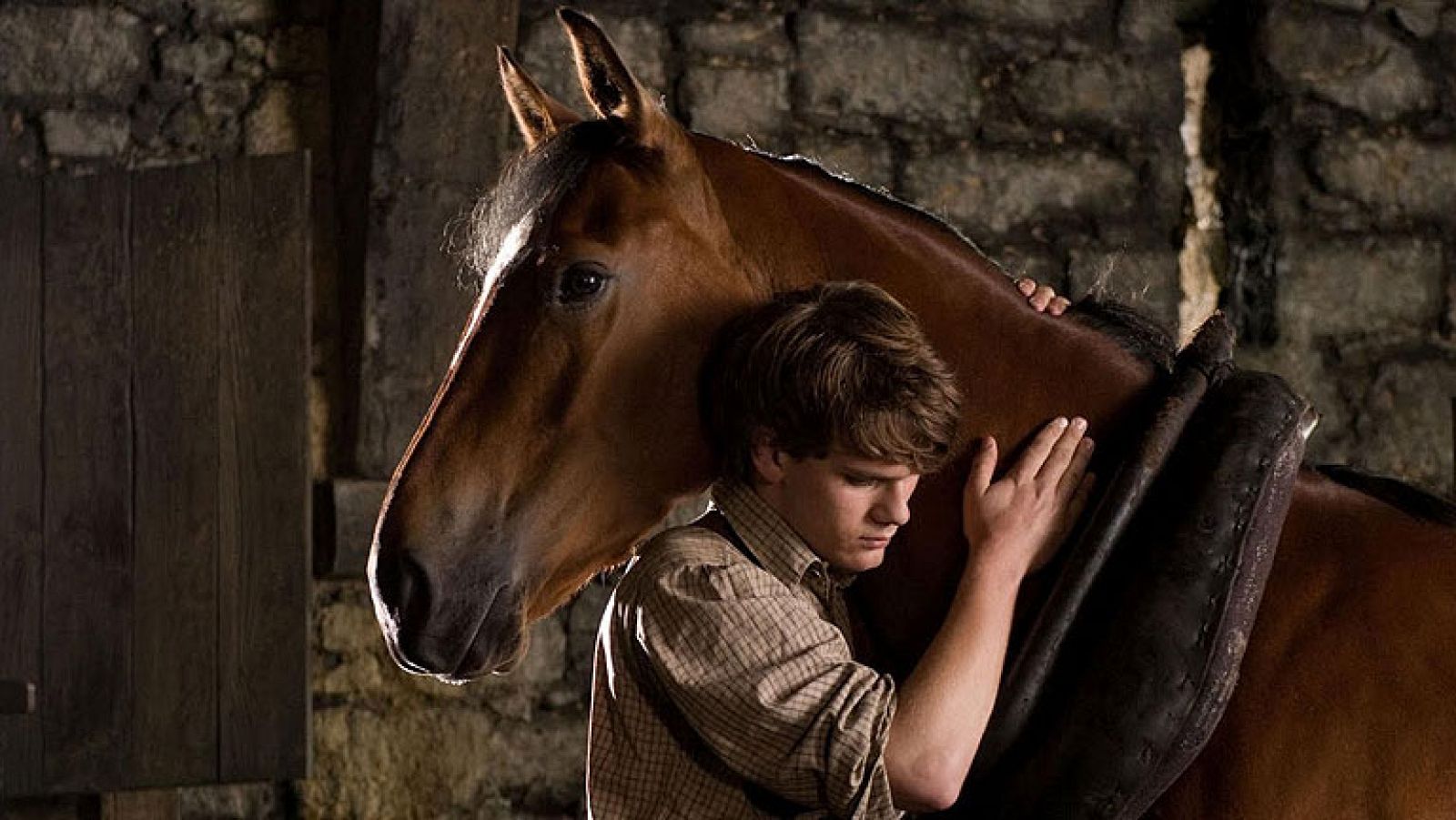 Días de cine - DVD: 'Caballo de batalla' y 'Kiseki'