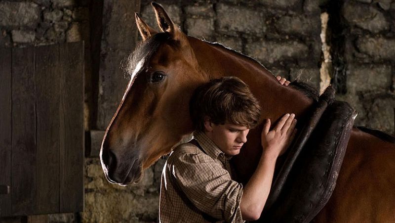 Días de cine - DVD: 'Caballo de batalla' y 'Kiseki'