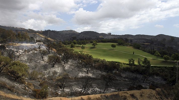 Informativo 24h - Los parados podrán ser requeridos para limpiar los montes tras los incendios