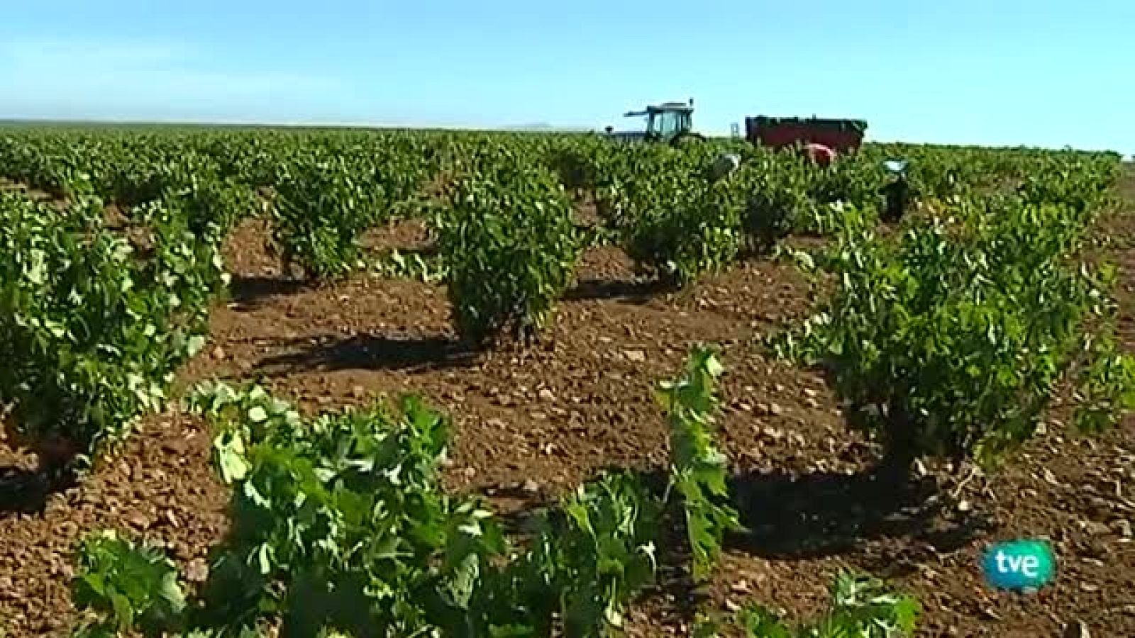 Agrosfera - 08/09/12 - Ver ahora