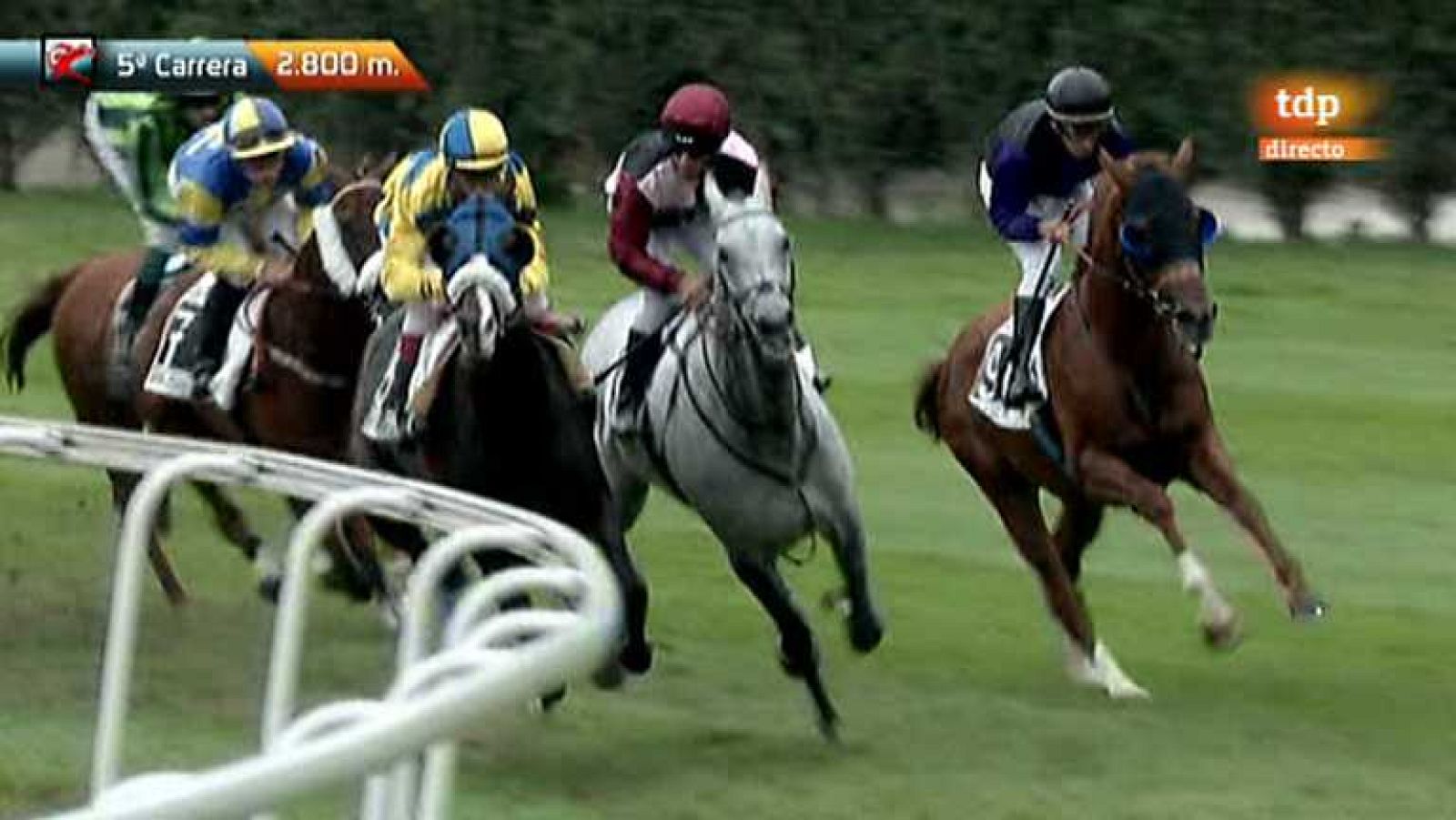 Turf - 09/09/12 - Ver ahora