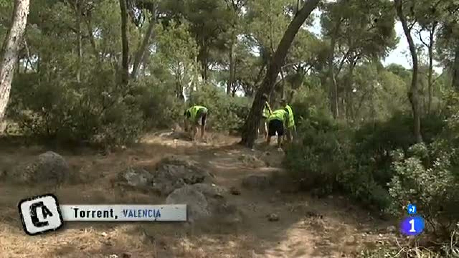 Vidas paradas - Torrent - Entre un trabajo temporal y el banco de alimentos - Comando Actualidad | Ver