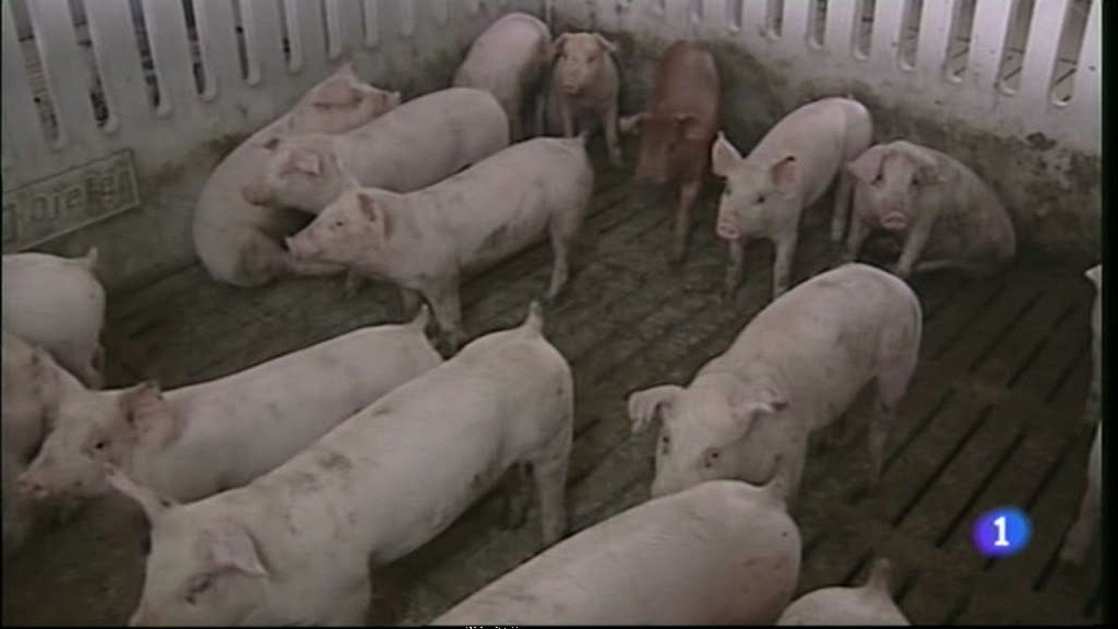 Noticias Aragón - 13/09/12 | Ver