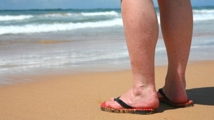 La mañana - Tu circulación