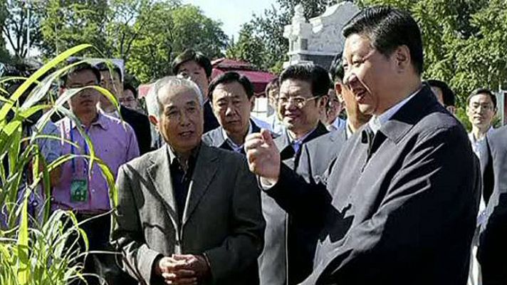 Informativo 24h - El vicepresidente chino Xi Jinping reaparece en público tras dos semanas desaparecido