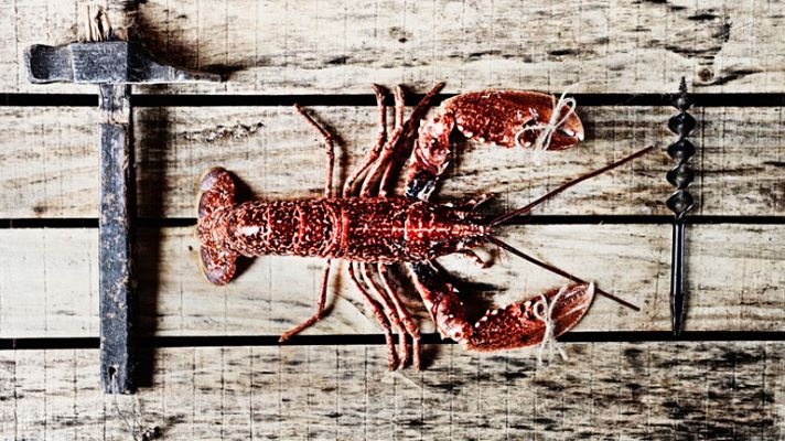 Telediario 1 - Nando Esteva, ganador del Premio Internacional de Fotografía en el Festival de Los Ángeles