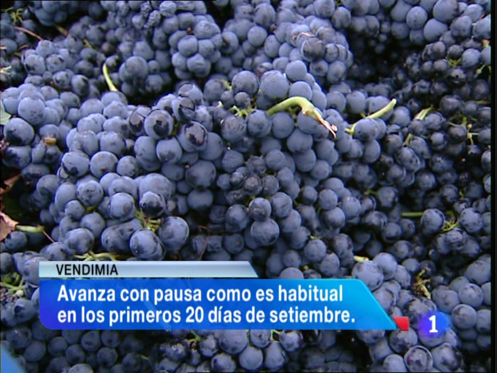 Informativo Telerioja - 18/09/12 | Ver