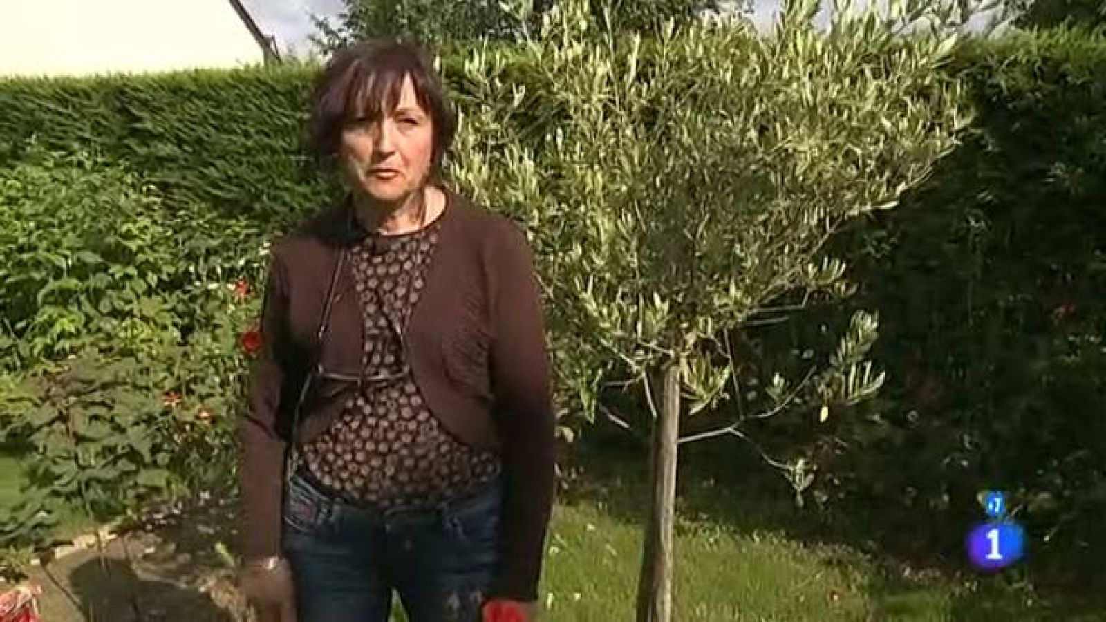 Españoles en el mundo - Bretaña - Esther | Ver