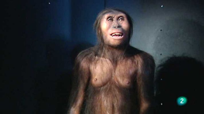 La aventura del Saber - La aventura del saber - 20/09/12