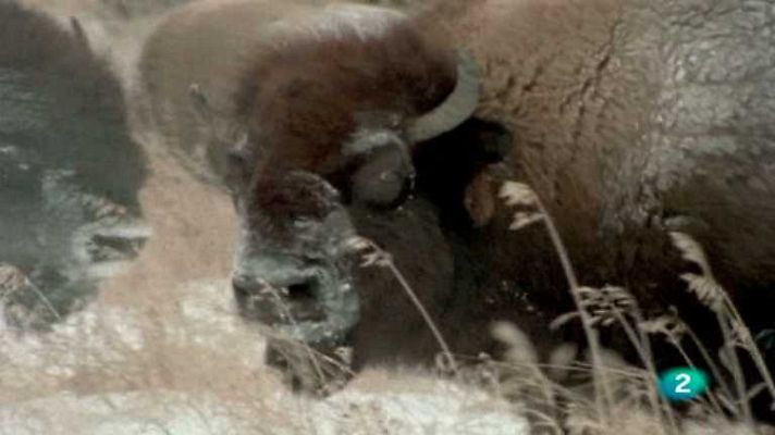 El hombre y la Tierra - Aventura en Canadá