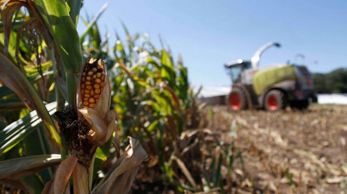 La tarde en 24h - Sequías e inundaciones amenazan con crear otra crisis alimentaria mundial