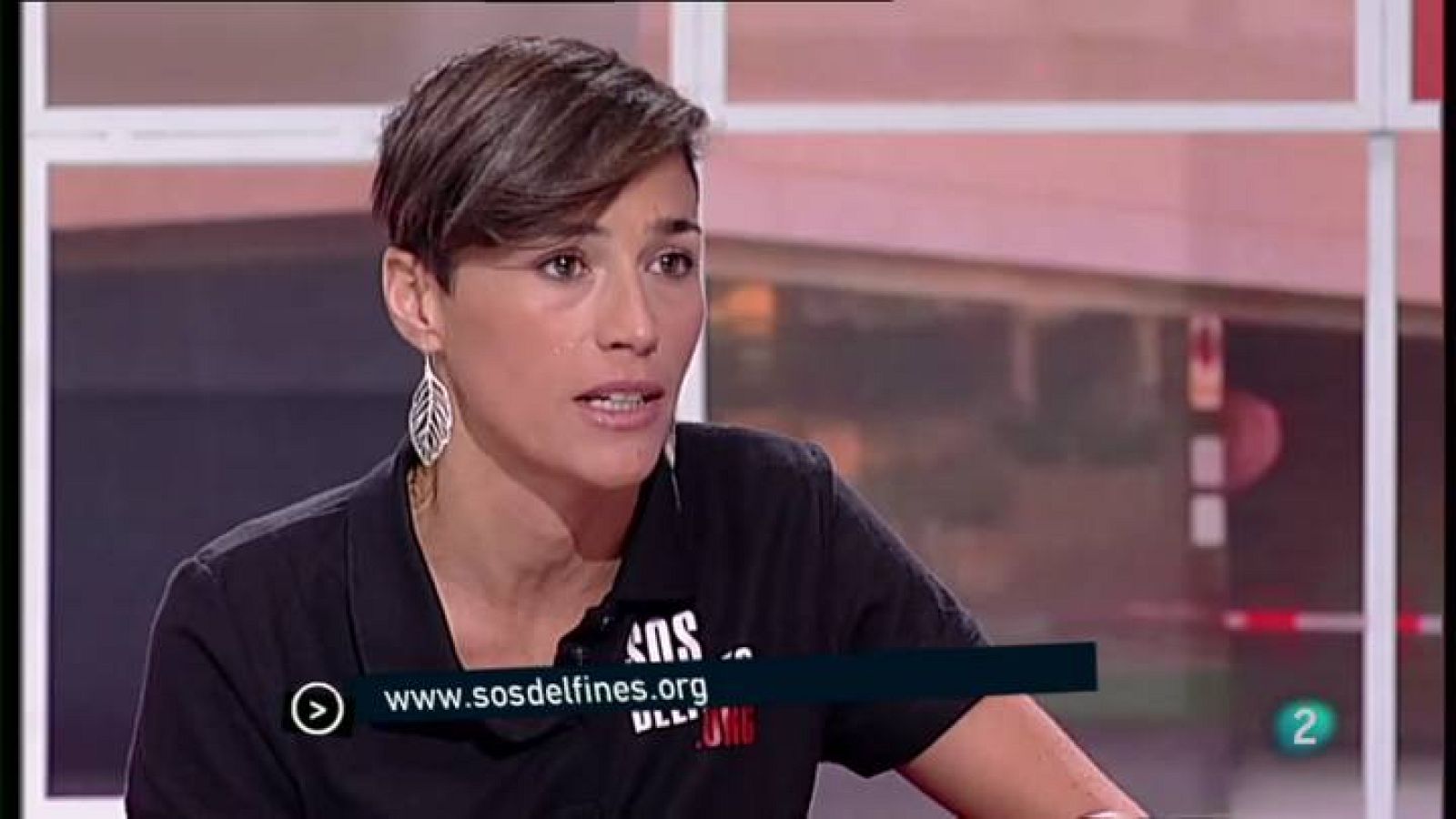 Para todos La 2 - ONG: SOS Delfines