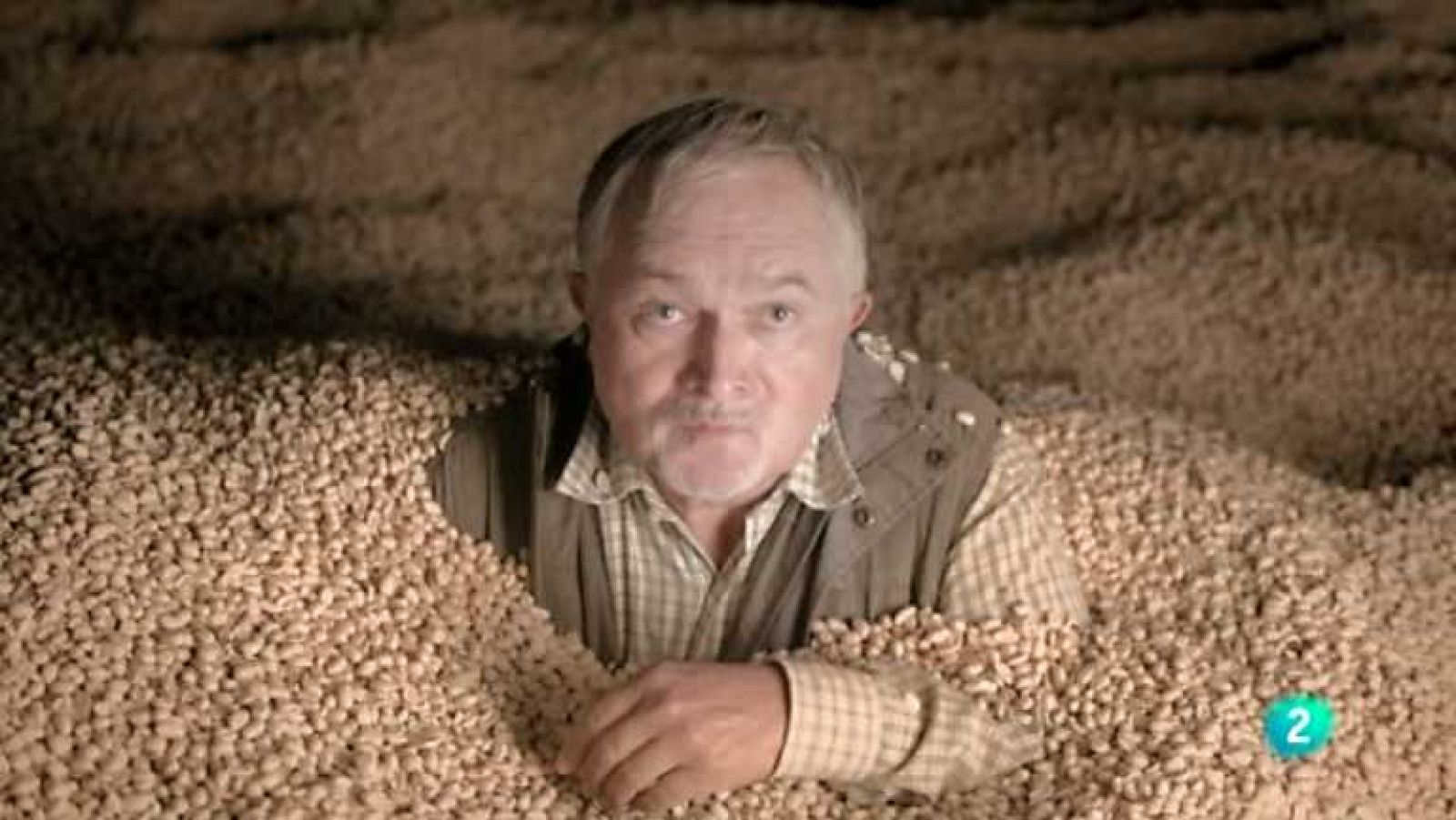 Metrópolis - Cannes 2012 - Ver ahora