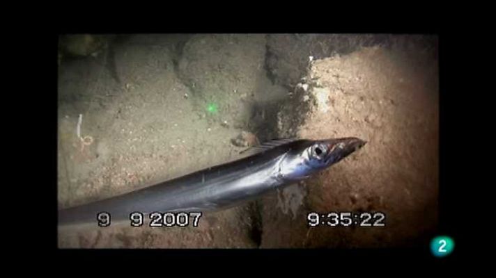 Biodiario - Biodiario - 24/09/12