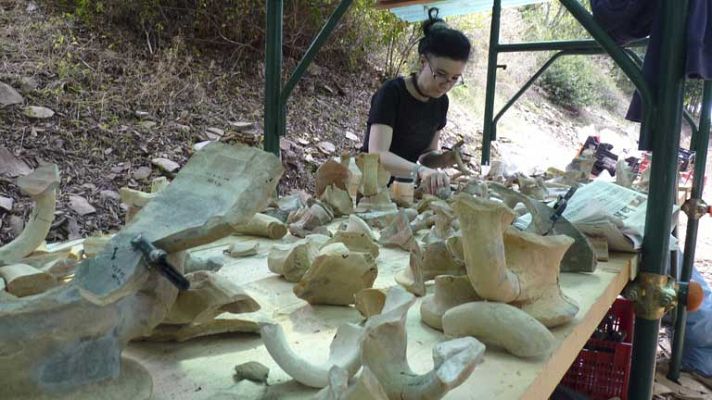 Telediario 1 - Siglos de aceite andaluz en Roma