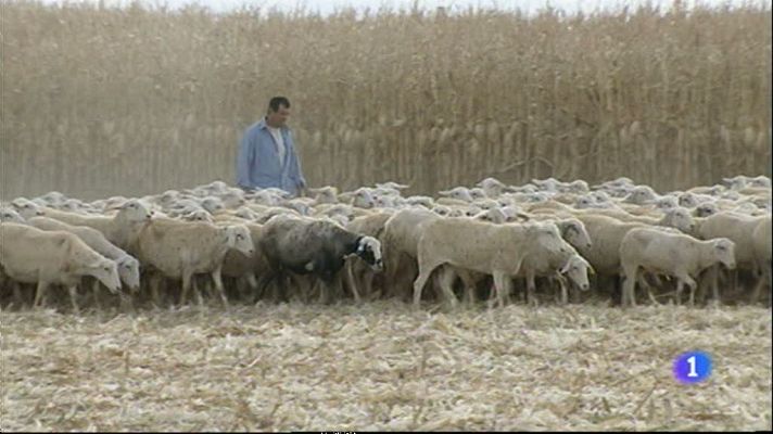 Noticias Aragón - Noticias Aragón 2 - 25/09/12