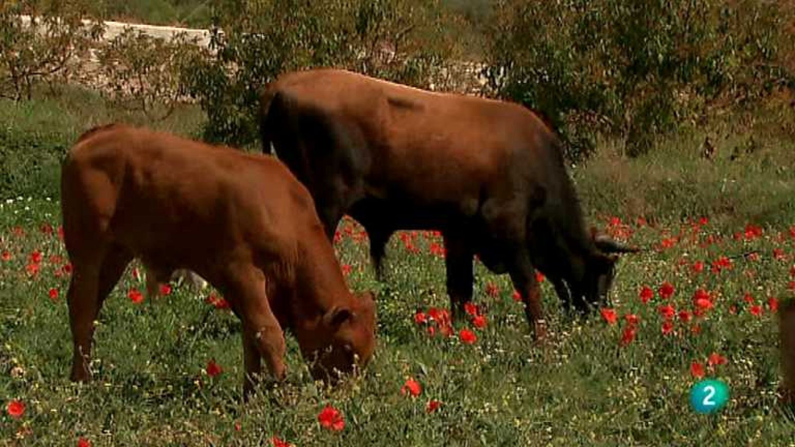 Biodiario - 25/09/12