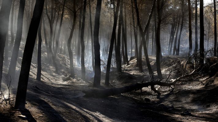 Telediario 1 - Regresan a sus casas los desalojados por el incendio en Valencia