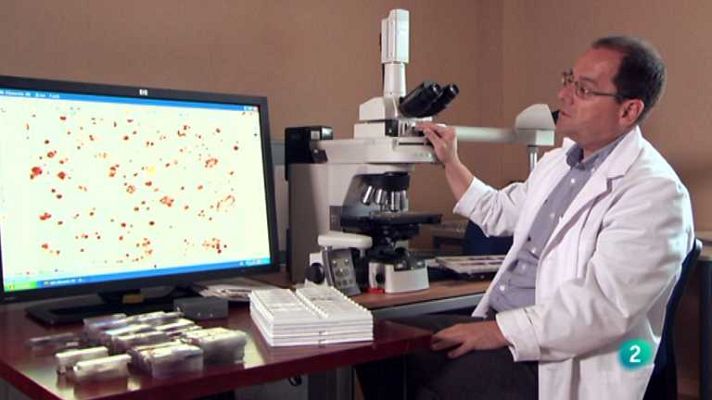 Crónicas - El naufragio de la memoria