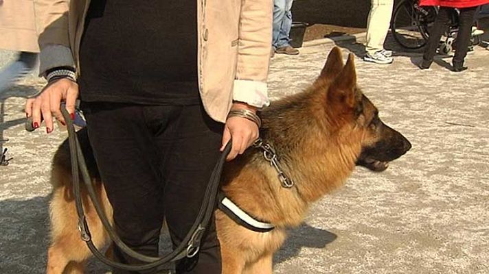 Telediario 1 - Perros adiestrados por la policía