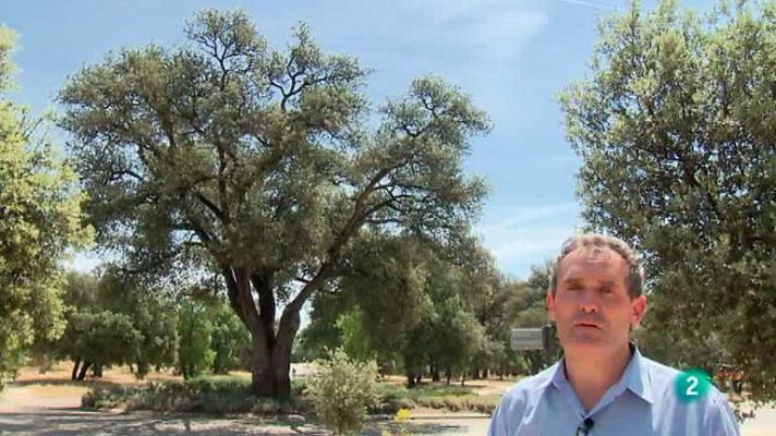 La aventura del Saber - La aventura del saber - 01/10/12