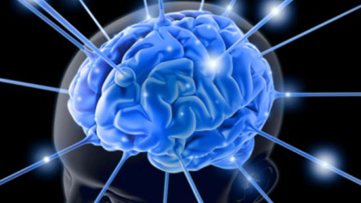 La mañana - Cerebro sano