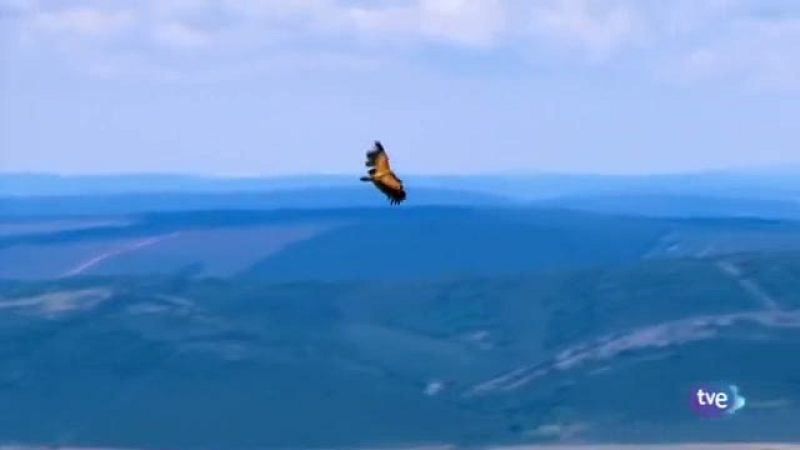 Noticias Castilla La Mancha en 2' 801/10/2012) | Ver