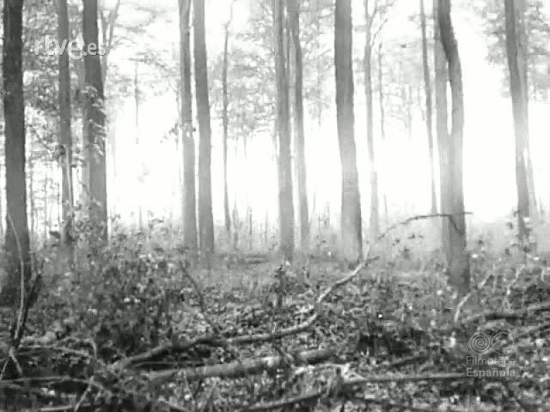 CON LOS HEROES DEL SOMME