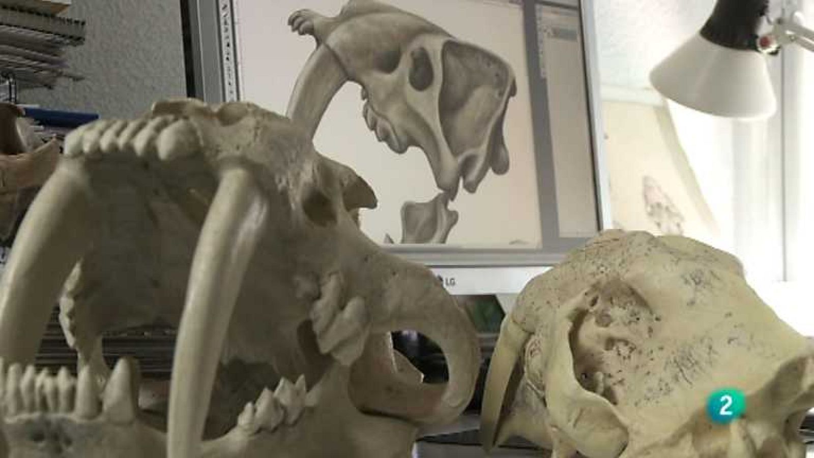 Biodiario - 02/10/12 - ver ahora