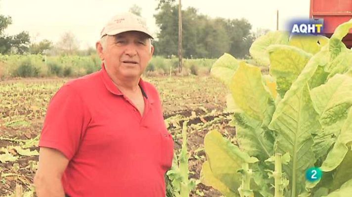 Aquí hay trabajo - Aquí hay trabajo - 03/10/12