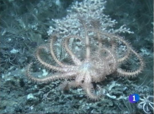 Panorama Regional - Asturias en 2' - 03/10/12