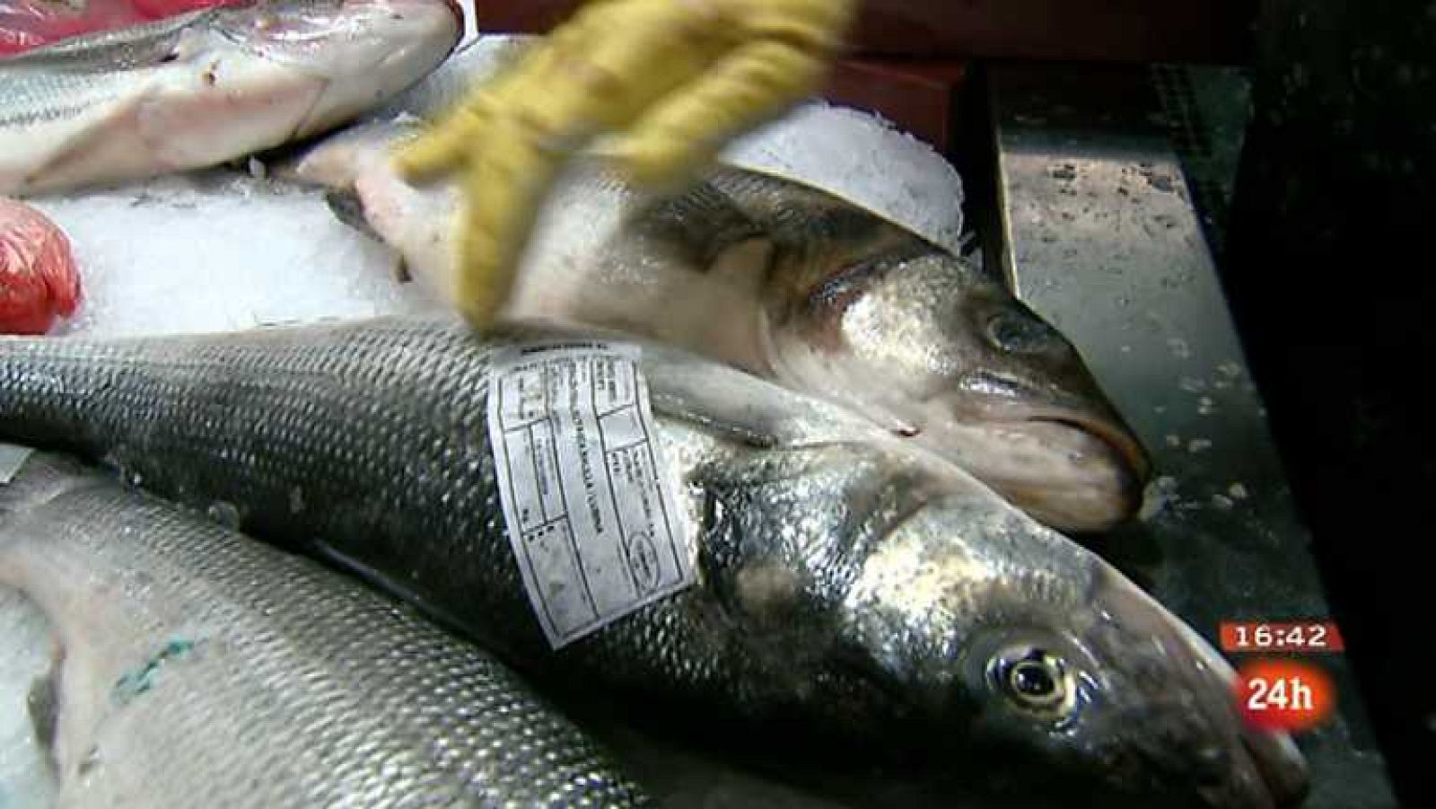 España en 24 horas - 03/10/12 - Ver ahora