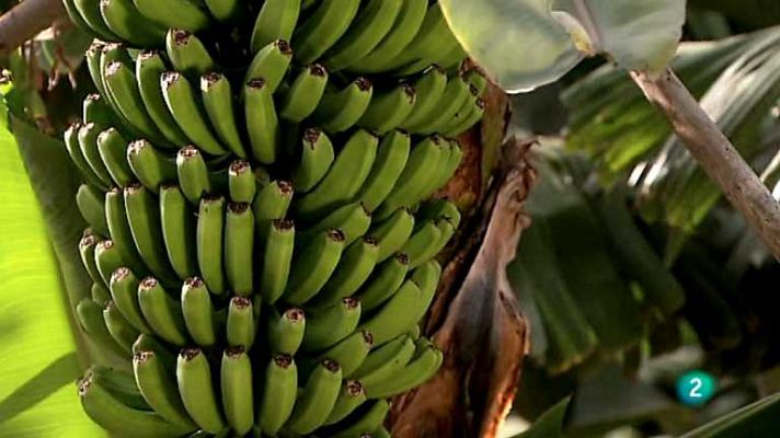 Biodiario - Biodiario - 03/10/12